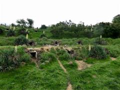 101PARC AUX OISEAUX DANS L AIN 2016 2_000050